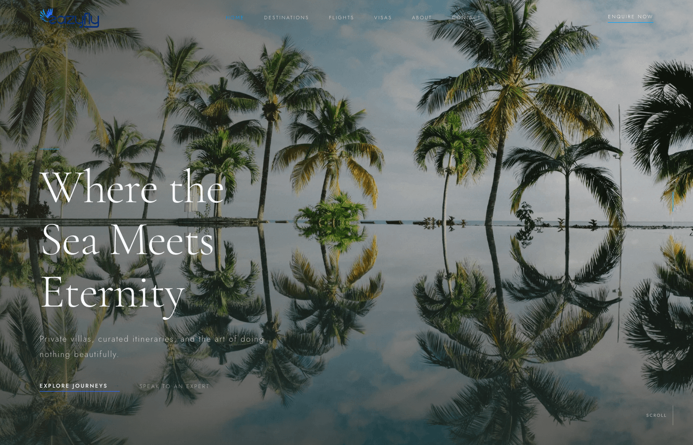 EazyFly Travels website preview